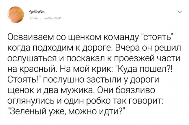 Подборка забавных твитов о неловких ситуациях