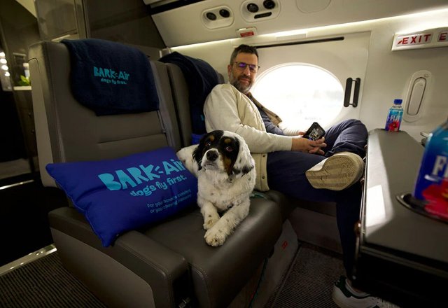 В США создали авиакомпанию для собак