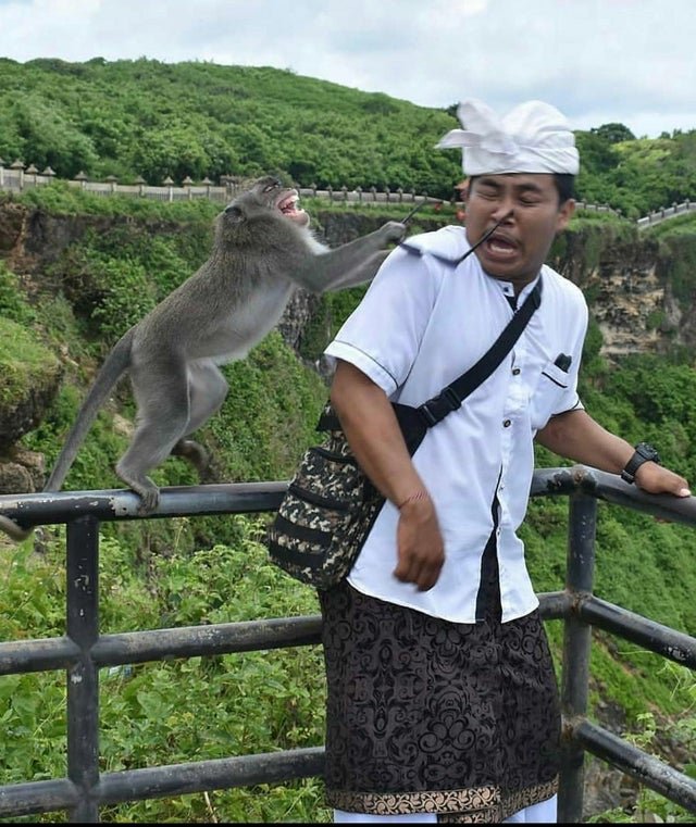 Фотографии, сделанные в самый нужный момент