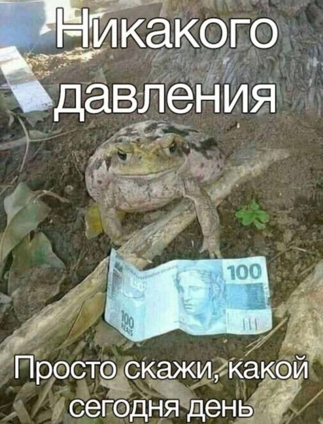 Смешные мемы - 14.05.2024