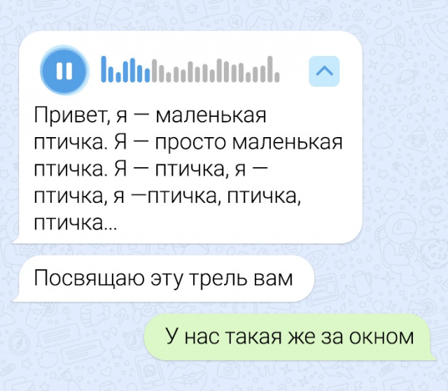 Подборка забавных переписок