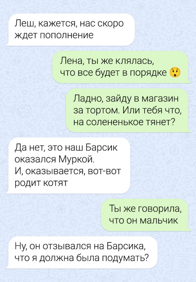 Подборка забавных переписок