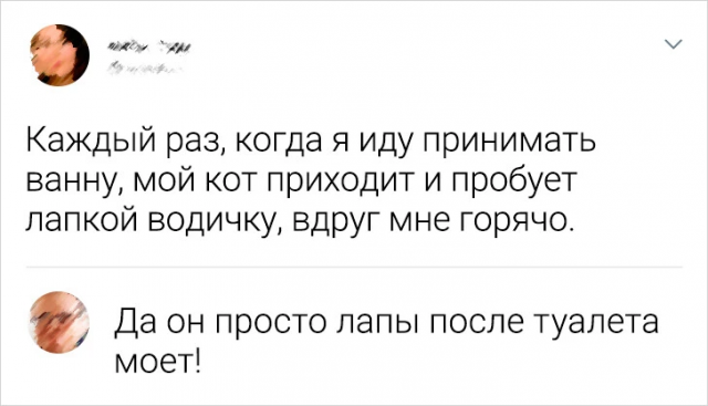 Подборка забавных комментариев