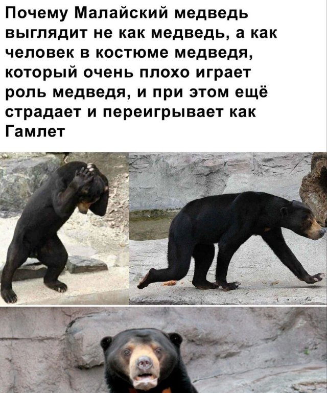 Смешные мемы - 17.05.2024