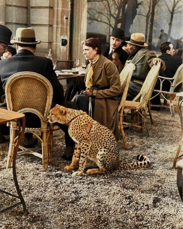 Женщина сидит со своим домашним гепардом за чаем в кафе Bois de Boulogne, Париж, 1932 год