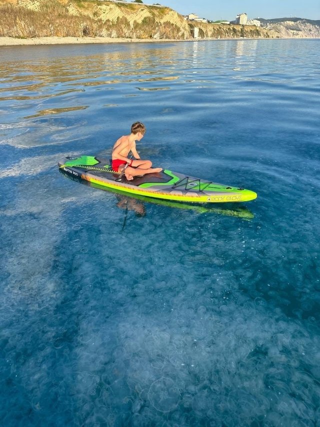 Нашествие медуз в Анапе испортило отдых туристам