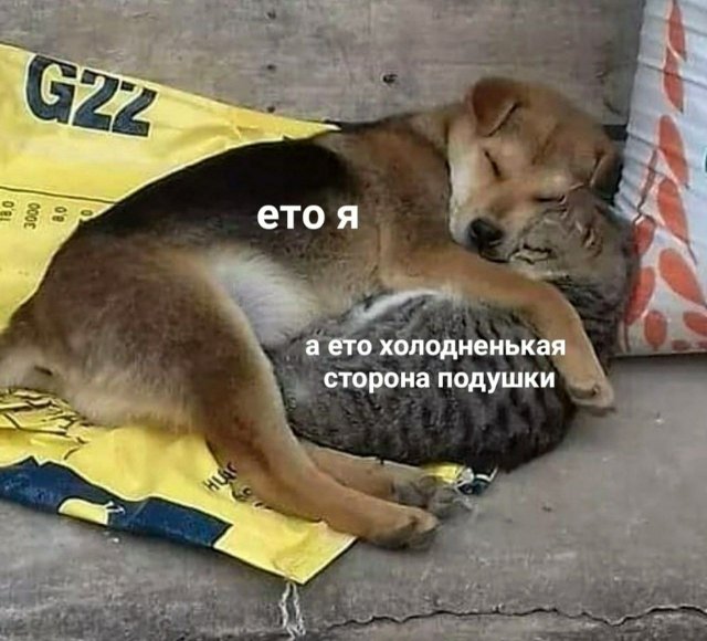 Смешные мемы - 06.06.2024