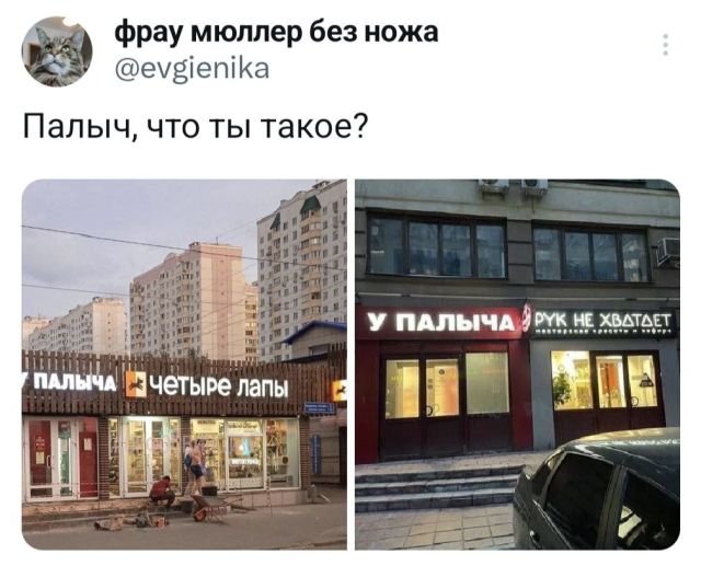 Подборка забавных твитов обо всем