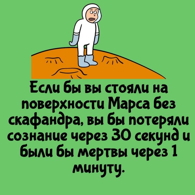 Интересные факты на все случаи жизни