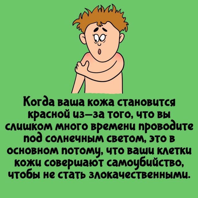 Интересные факты на все случаи жизни