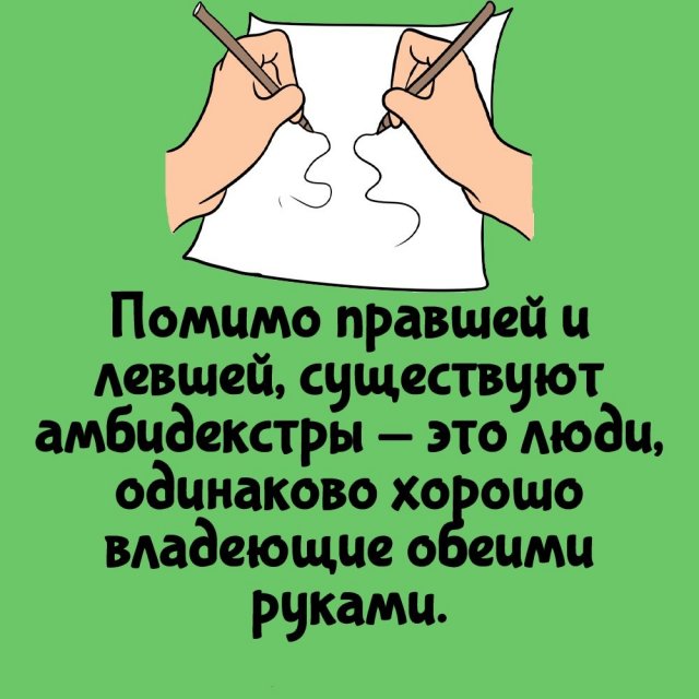 Интересные факты на все случаи жизни