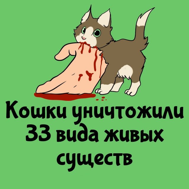 Интересные факты на все случаи жизни