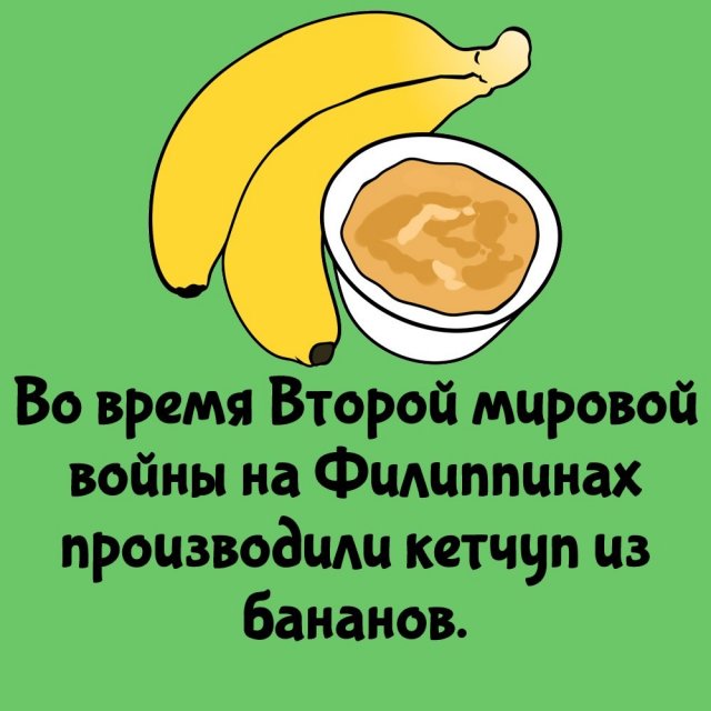 Интересные факты на все случаи жизни
