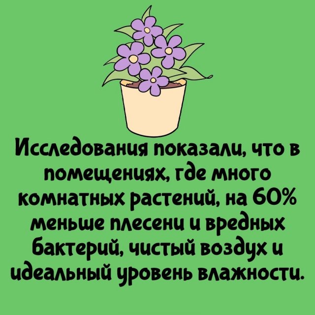 Интересные факты на все случаи жизни