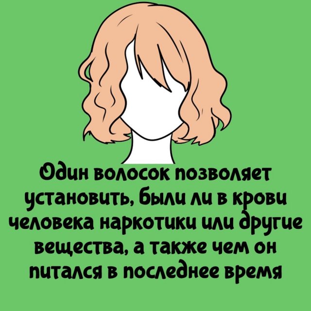 Интересные факты на все случаи жизни