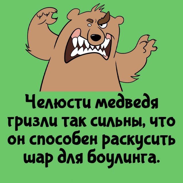 Интересные факты на все случаи жизни