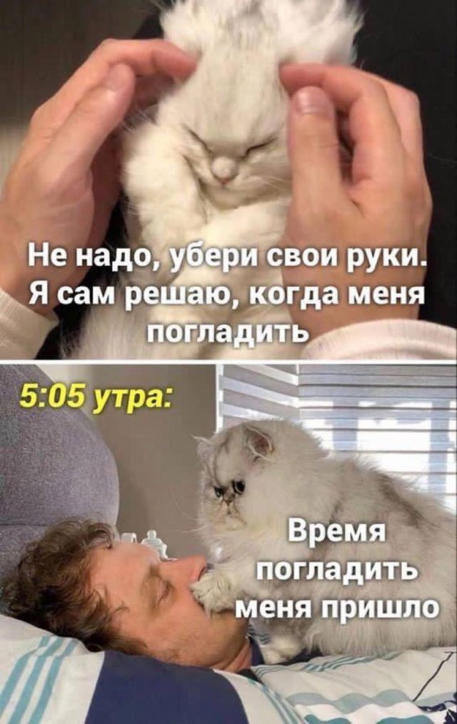 Смешные мемы - 25.06.2024
