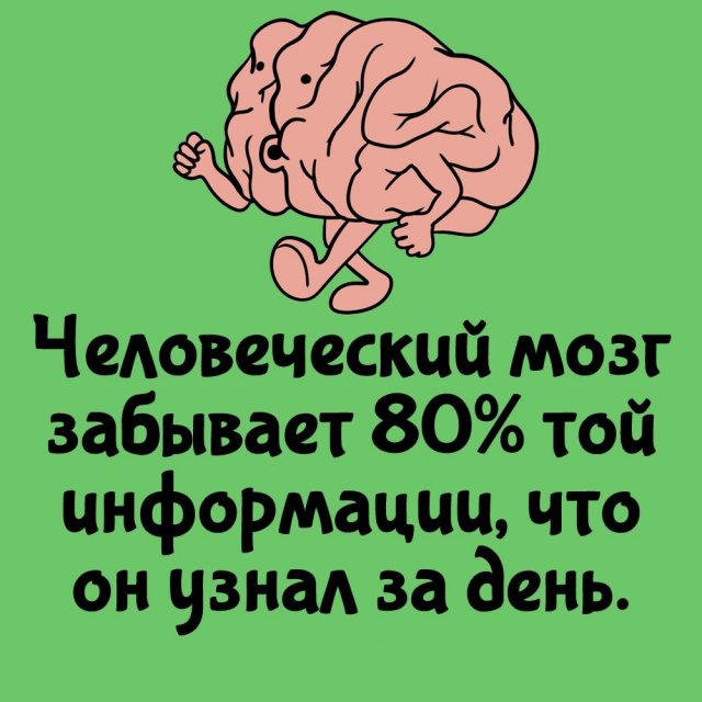 Интересные факты на все случаи жизни