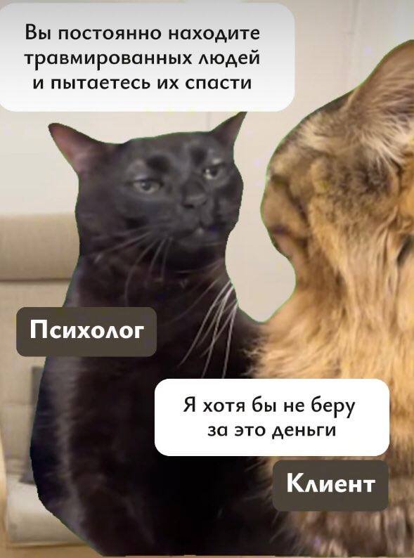 Смешные мемы - 09.07.2024