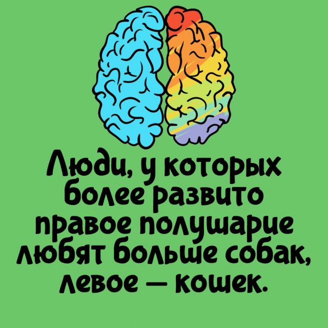 Интересные факты на все случаи жизни