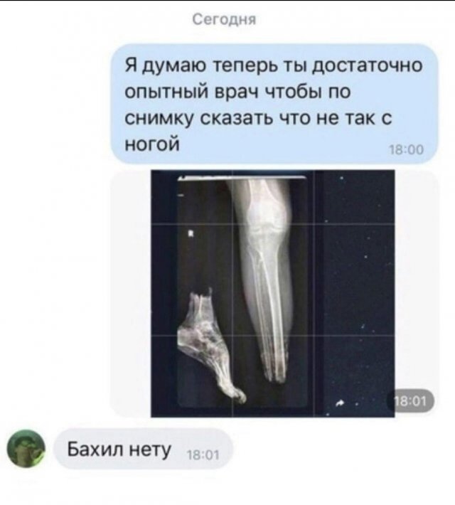 Смешные картинки - 09.07.2024