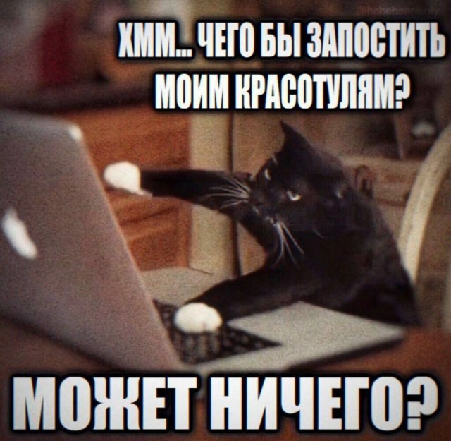 Смешные картинки - 09.07.2024