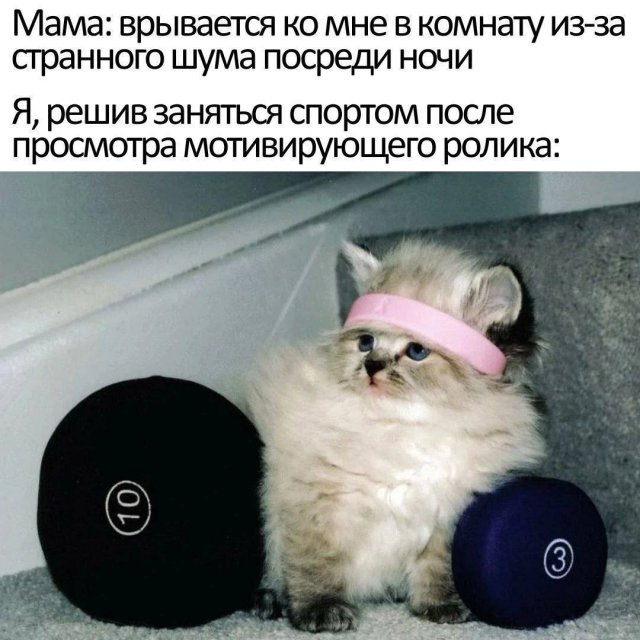 Смешные картинки - 09.07.2024