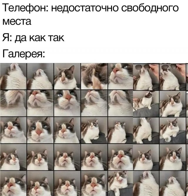Смешные картинки - 09.07.2024