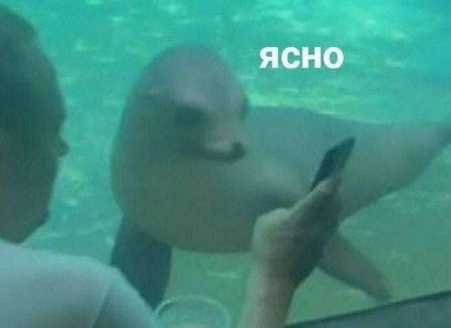 Смешные картинки - 09.07.2024