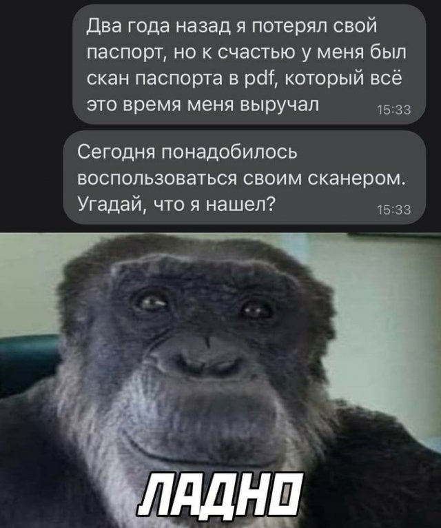 Смешные картинки - 09.07.2024