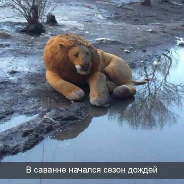 Смешные картинки - 09.07.2024