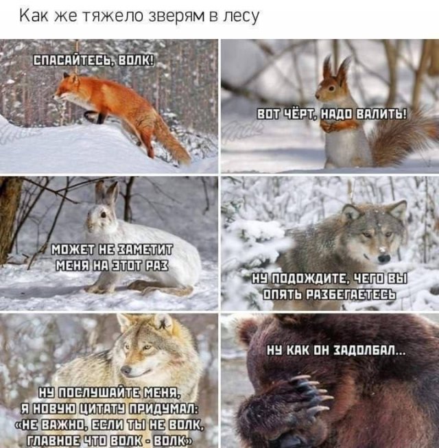 Смешные картинки - 10.07.2024