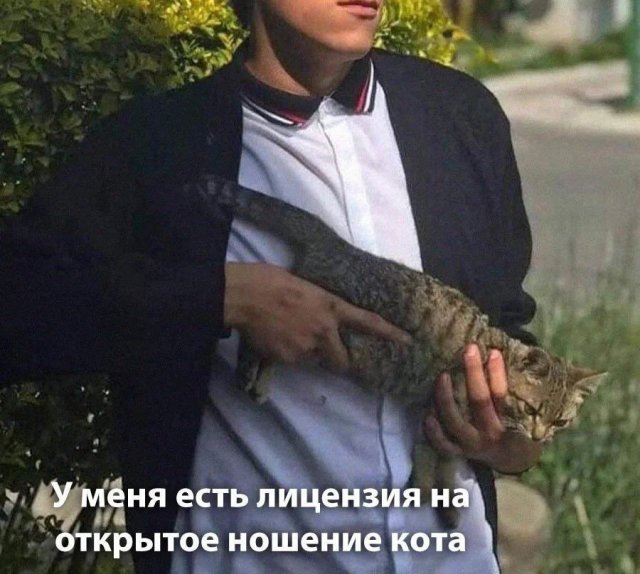 Лучшие шутки и мемы из Сети - 16.07.2024