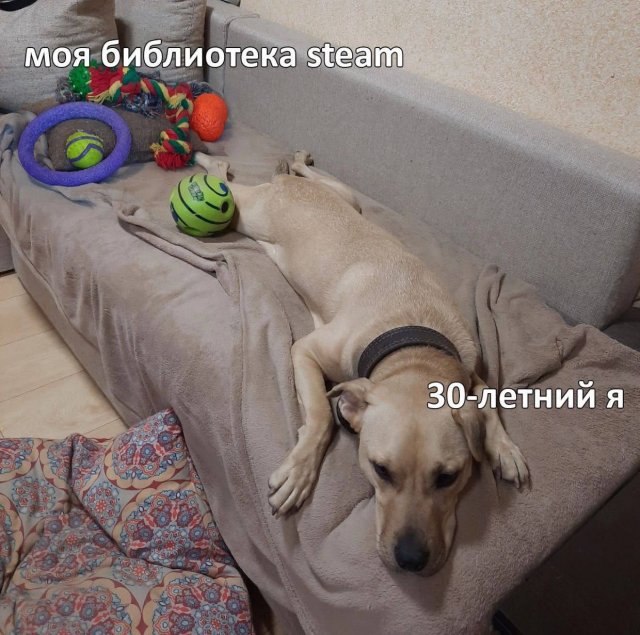 Смешные мемы - 22.07.2024