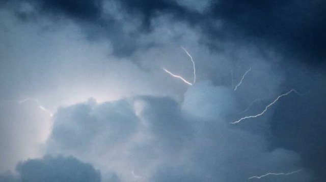 Подборка картинок. Вечерний выпуск - 25.07.2024