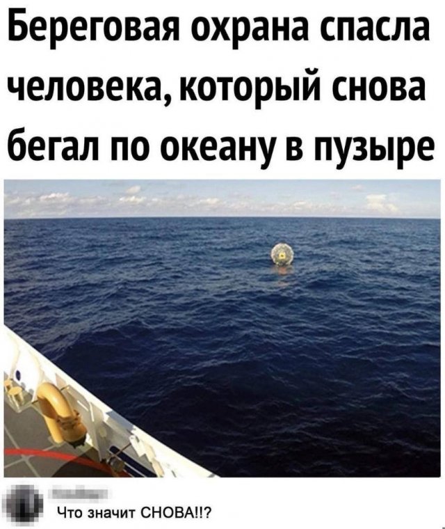 Смешные картинки - 26.08.2024