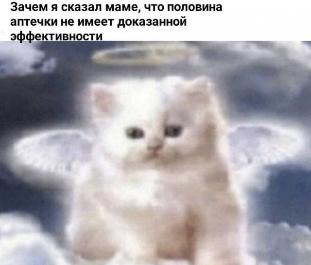 Лучшие картинки и мемы из Сети - 27.08.2024