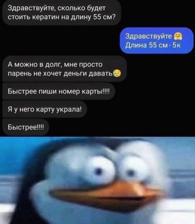 Лучшие картинки и мемы из Сети - 27.08.2024