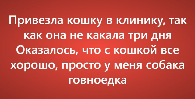 Пользователи рассказали о своих самых нелепых поездках к ветеринару
