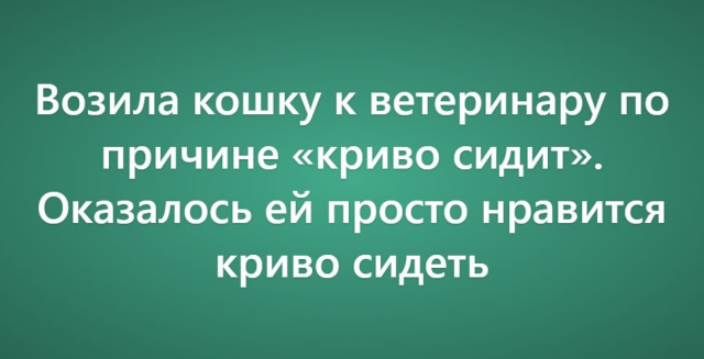 Пользователи рассказали о своих самых нелепых поездках к ветеринару