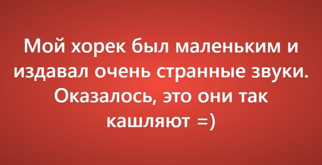 Пользователи рассказали о своих самых нелепых поездках к ветеринару