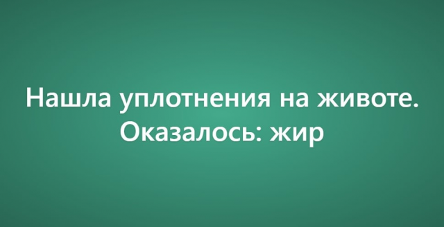 Пользователи рассказали о своих самых нелепых поездках к ветеринару