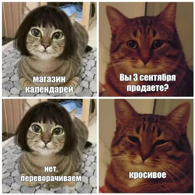 3 сентября мемы 2024