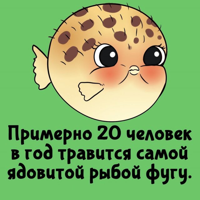 Интересные факты на все случаи жизни