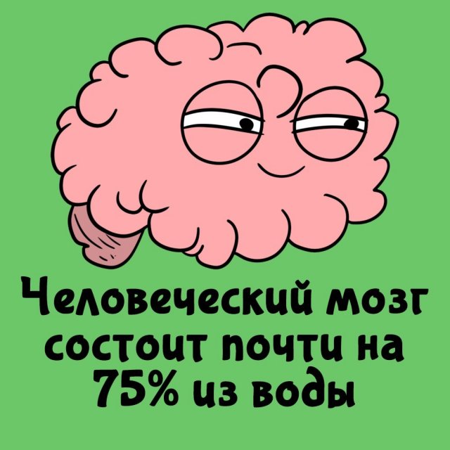 Интересные факты на все случаи жизни