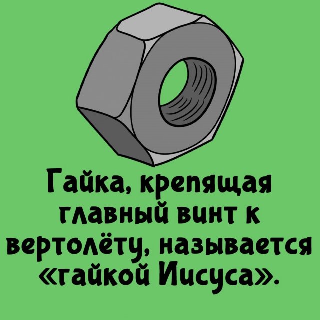 Интересные факты на все случаи жизни
