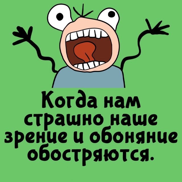 Интересные факты на все случаи жизни