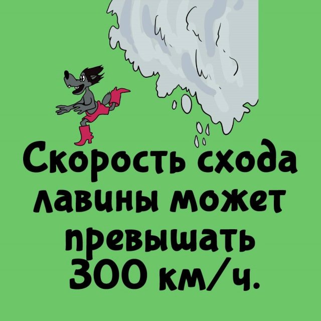 Интересные факты на все случаи жизни