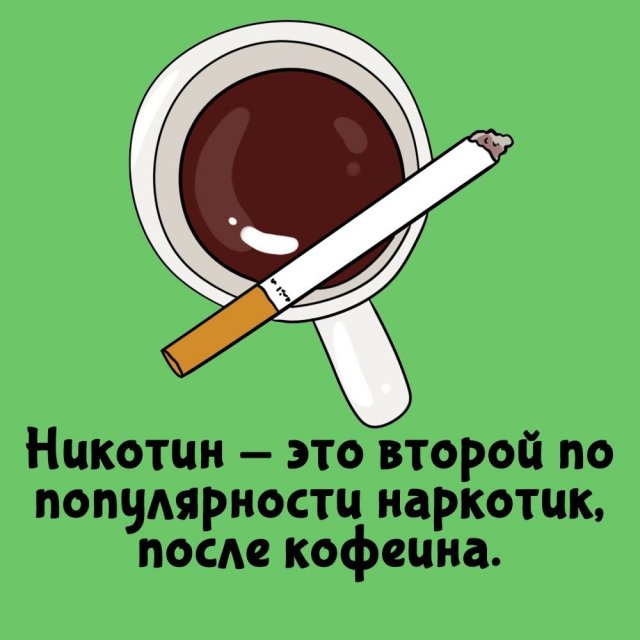 Интересные факты на все случаи жизни