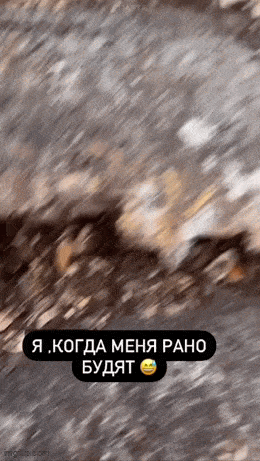 Подборка гифок -  11.09.2024